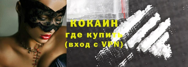 СК Сафоново