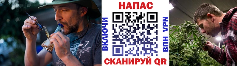 Конопля Ganja  Купить  Берёзовка 